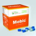 MOBIC-2